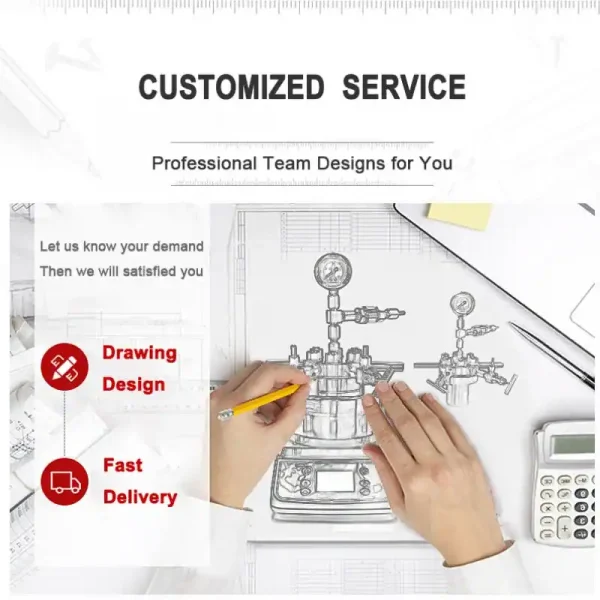 Customized High Pressure Reactor