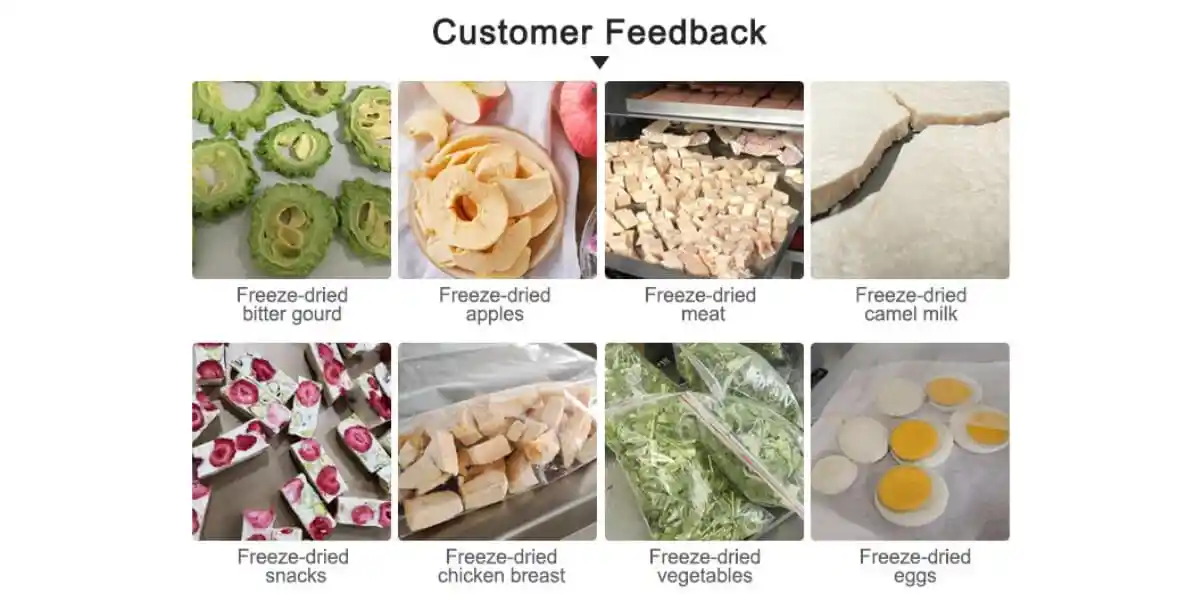 Lyophilizer Customer Feedback