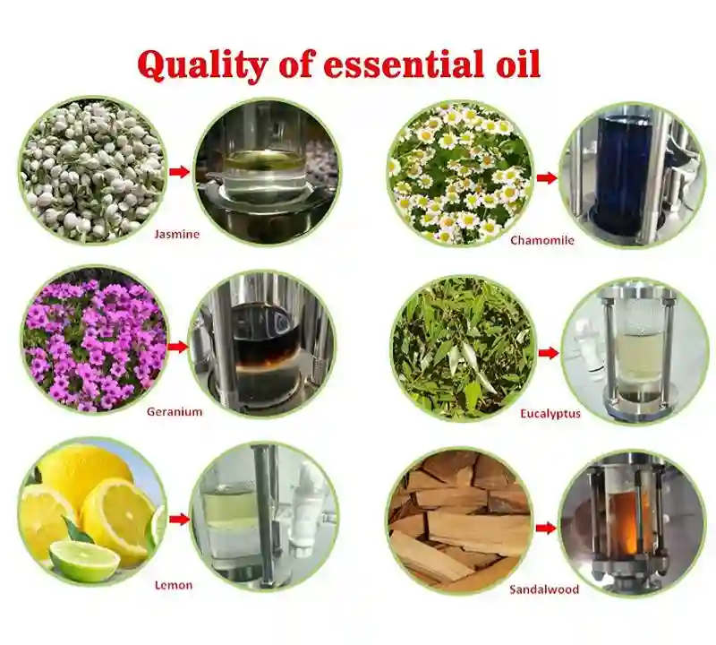 Calidad del aceite esencial