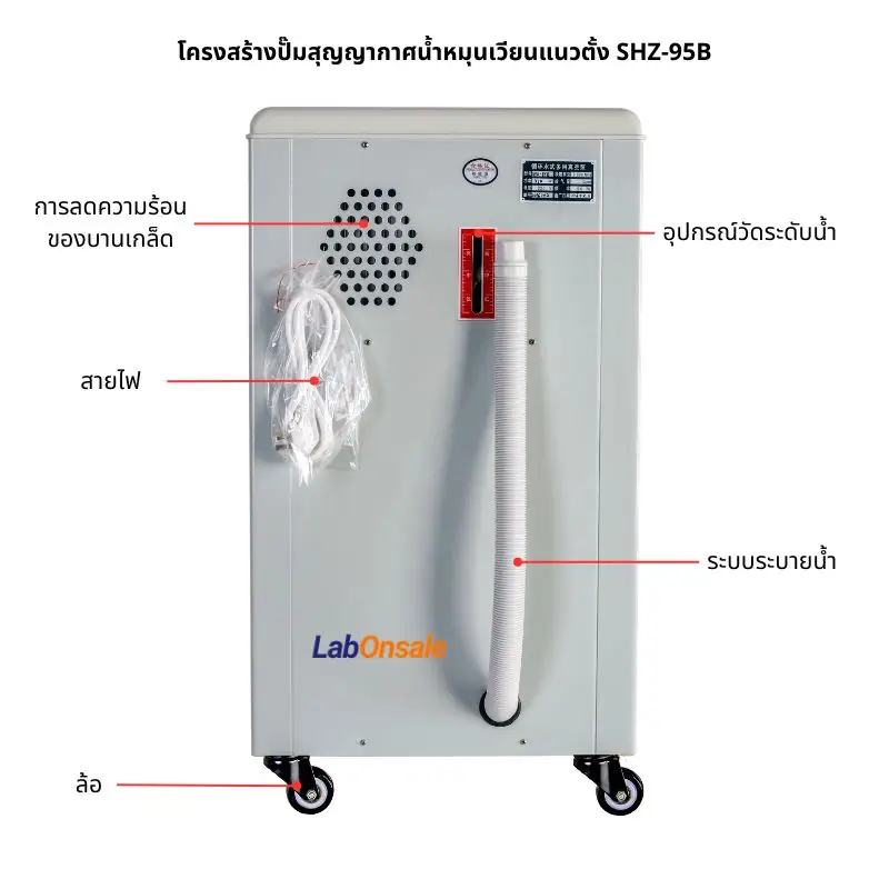 โครงสร้างปั๊มสุญญากาศน้ำหมุนเวียนแนวตั้ง SHZ-95B