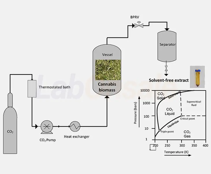 Labonsale Supercritical CO2 Extraction Cannabis Extraction Pressure Temperature